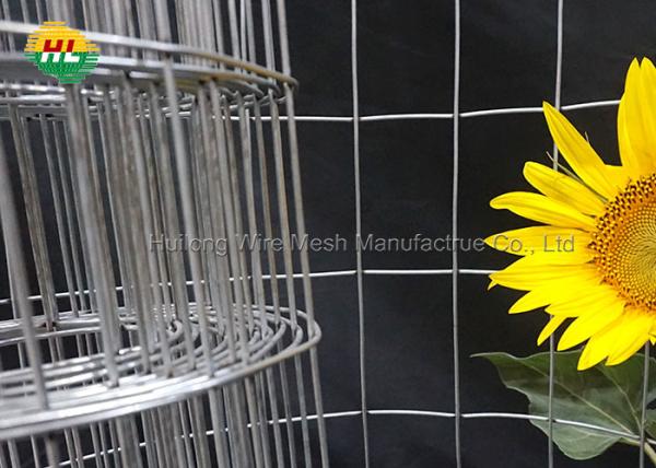 Buy Hot Dipped Galvanized 2"X 4'' Rectangle Mesh 14 Gauge 36inch X 50ft Welded Wire Mesh Fence Rolls For Craft Work at wholesale prices