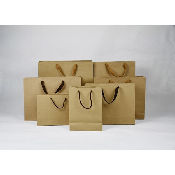 250g 300g Eco Friendly Paper Shopping Bag With Twised Handle