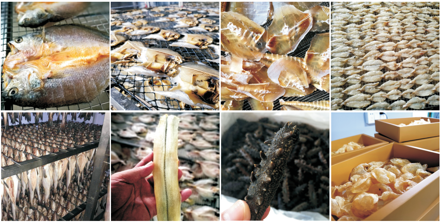 Fruit Drying Machine with 22KG Per Hour Dehumidification Adjustable Humidity 5-99% RH and Integrated Structural Design