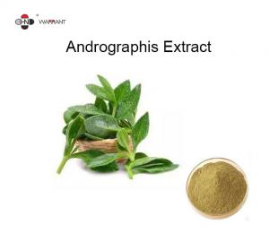 Quality Food Grade Andrographis Paniculata Extract Andrographolide 10% 50% 98% for sale
