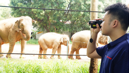 CDI-313MR Laser Ranging Infrared Thermal Imaging Telescope