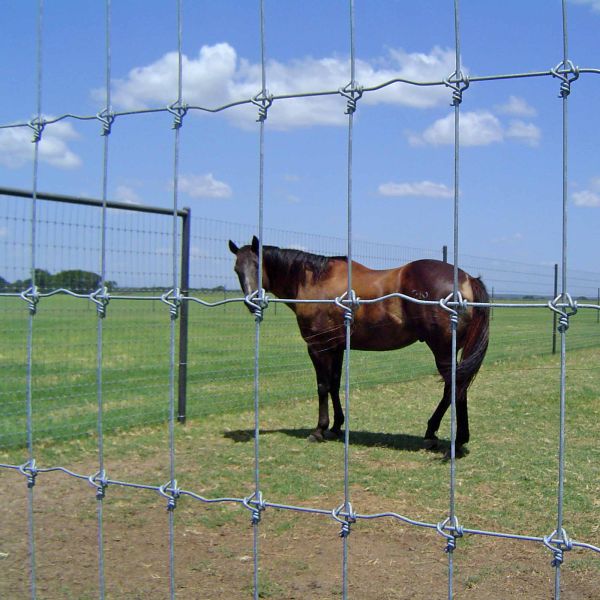 Goat Farm Fixed Knot Field Fence Galvanized Stainless Steel