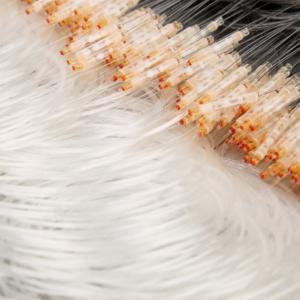 Guangdong Huajiayu Technology Co., Ltd