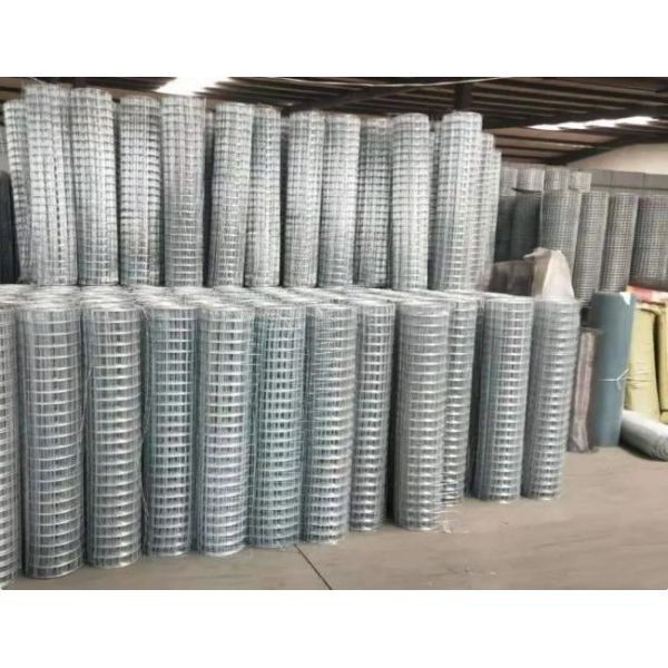 High Durability Galvanized Welded Mesh Rolls For Poultry Raising