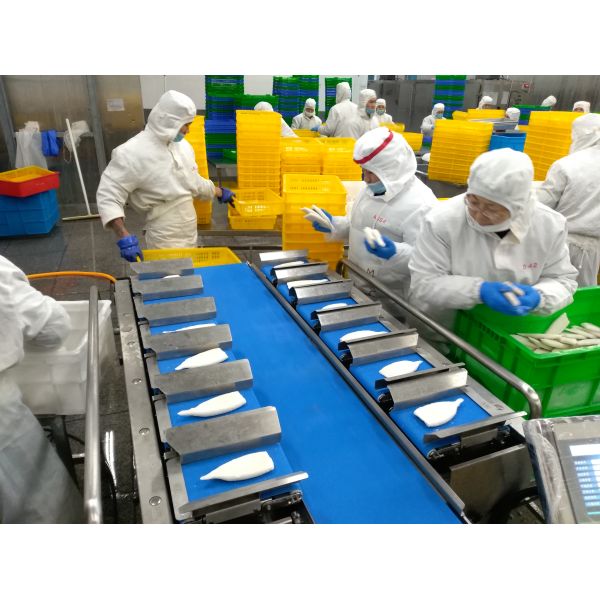 12 Head Combination Irregular Shape Fruit Multihead Weigher