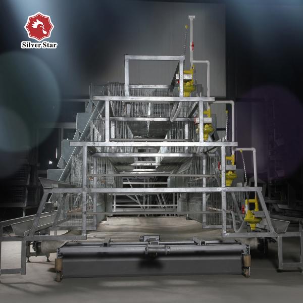 A Type Baby Chick Cage Include Automatic Drinking System