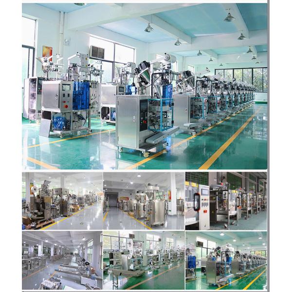 Granular Micro Combination Scale Weighing Filling Machine 10/14 Heads
