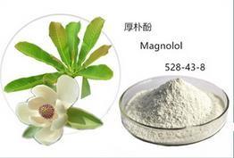 Quality Magnolol,40%-98% by HPLC,Magnolia bark extract CAS 528-43-8 for sale