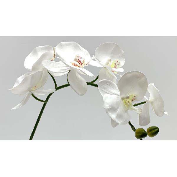 Long Lasting Colorful Artificial Flower Branch Phalaenopsis Aphrodite 83 Cm