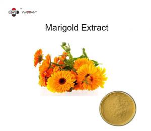 Quality Zeaxanthin 5% Lutein 5% Marigold Extract Powder for sale