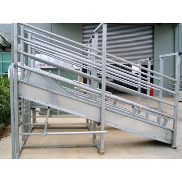 Closed Base Portable Cattle Handling System Premade / Customized Design