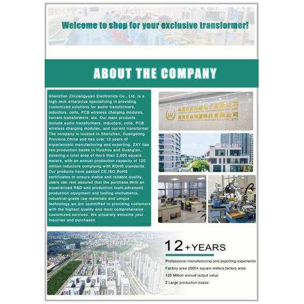 60Hz Custom Toroidal Transformer for Audio Amplifiers - Input/Output Voltage Design