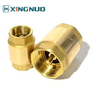 Quality Brass Spring Check Valve 1/2 inch Check Valve Brass Male Thread Check Valve Connector Tool Vertical Check Valve for sale