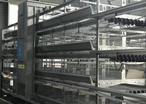 Hot Galvanized Automatic Poultry Feeder System For H Type Layer Cage