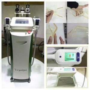 Quality dual cryo handles work together coolshape criolipolysis freezing fat slimming machine for sale