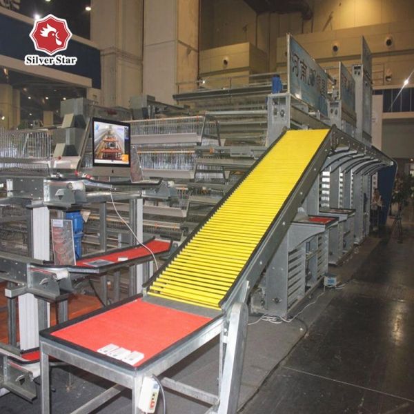 Automatic Egg Collection Hot-Dip Galvanized Battery Chicken Cage with Computerized Control System for Poultry Farming