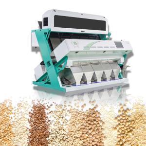 China LED Optical Vegetable Sorting Machine 2 - 6T/H Throughput on sale