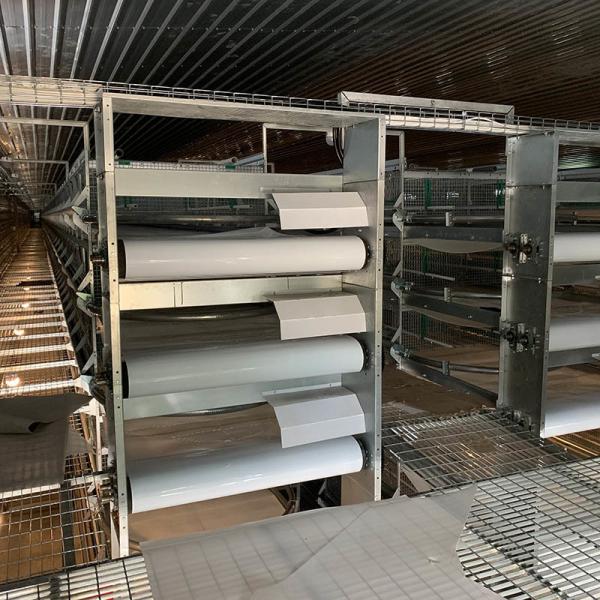 Chicken Egg Layer Cages Equipment With Poultry House