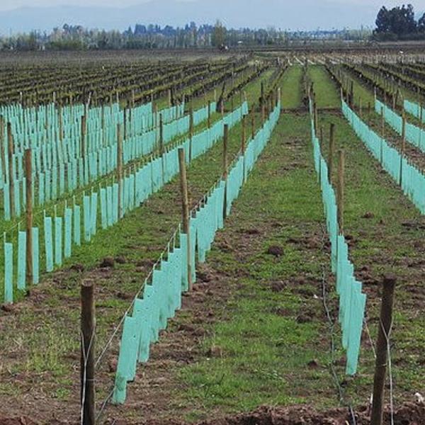 Anti Uv Corrugated Plastic Tree Guard 2mm Thickness