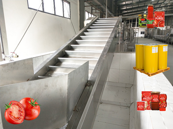 Energy-Saving High Efficiency Water-Saving Mango Processing Line and Mango Pulp Processing Plant