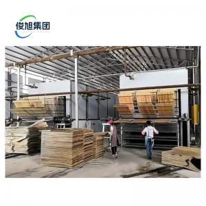 China 20 Cubic Meters Sheet Metal Drying Machine with Multi-Layer Veneer Wood Technology on sale