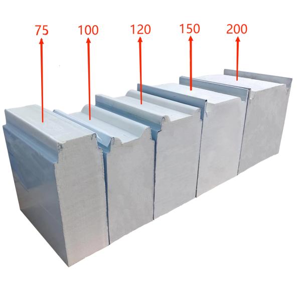 Maximize Your Cold Storage Efficiency with Freezer Panel Systems Pu Density 38kgs