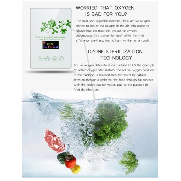 HOMEFISH Commercial Air Purifier Kitchen Use Active Oxygen Fruit And Vegetable Sterilizing Machine 400mg/H