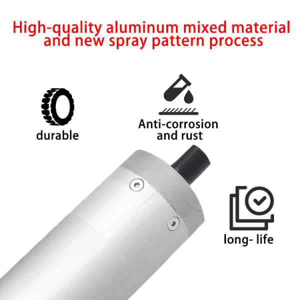23NM 24V Low Voltage Speed Gate DC Servo Motor With Gearbox