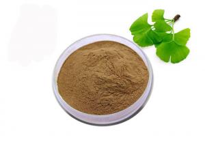 Quality USP Grade Organic Ginkgo Biloba Powder for sale