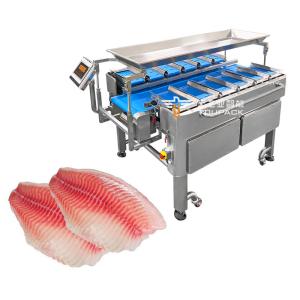 China Multi-Function Combination Weigher Scale Fixed Weight Conveyor Belt Packing Machine For Food New Generation Conveyor Belt Scale on sale