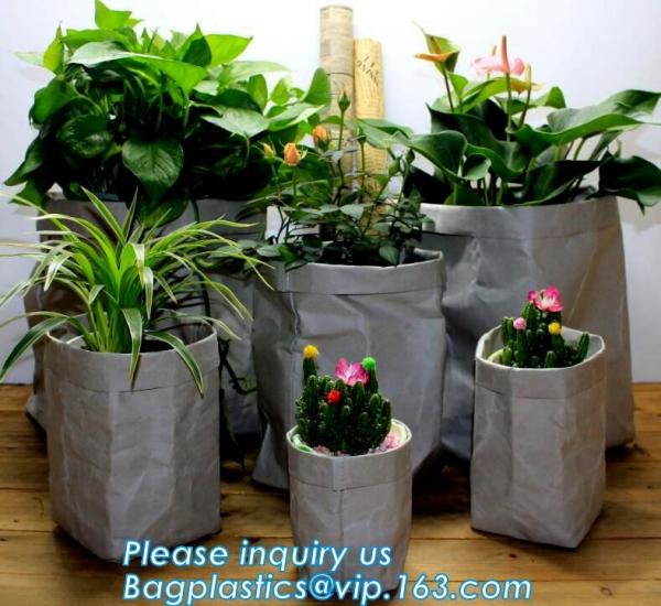 washable tyvek craft paper bag for plant pot, High Quality Luxury Tyvek Dupont Washable Paper Bags, eco friendly washabl