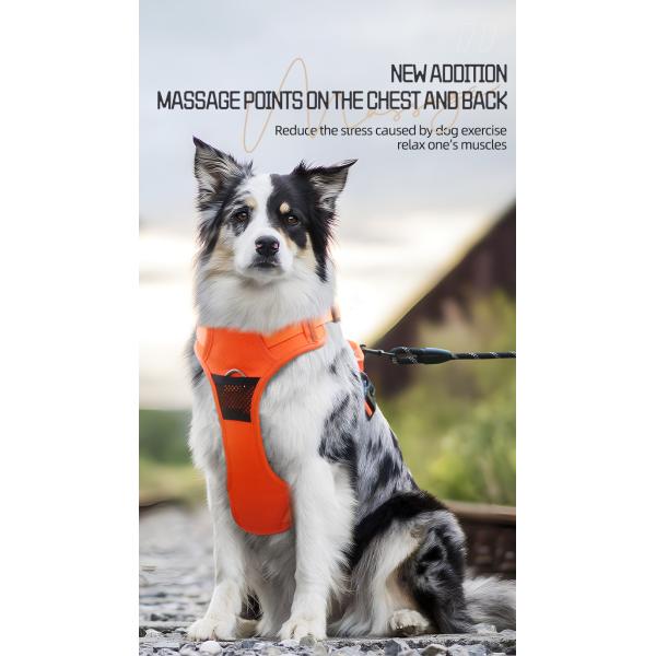 Football Pattern Breathable Pet Harness And Walking Leash Set For Medium And Large Dogs