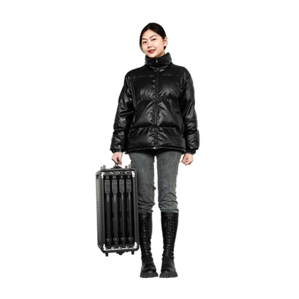 ARE Audio Dual 10" Line Array Professional Audio System Passive Line Array for Medium-sized Performances