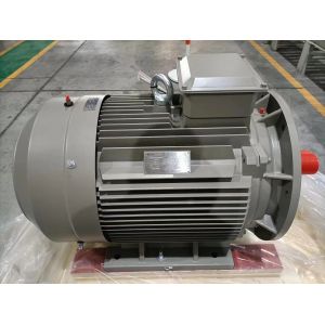 Buy cheap Rare Earth NdFeB Synchronous Permanent Magnet Motor Three Phase from wholesalers
