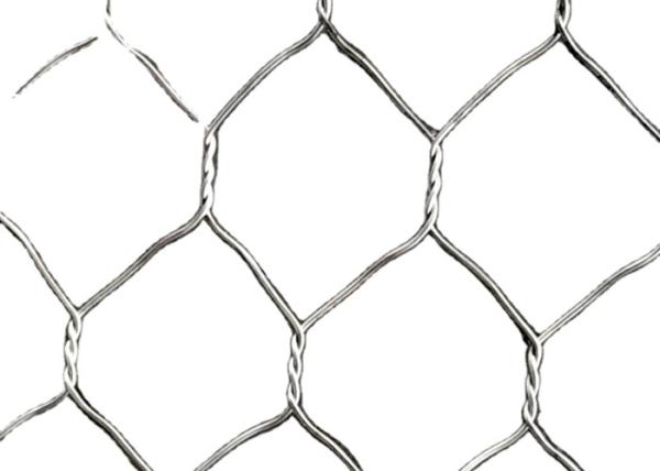 Buy 2mm Galvanized PVC Hexagonal Double Twisted Hexagonal Wire Mesh Protect Rock Fall at wholesale prices