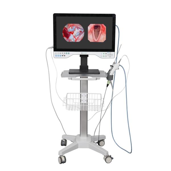 Buy FHD All In One Endoscope Camera System Built-in LED Light & Flexible Scope For Laparoscopy at wholesale prices