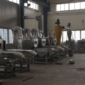 Quality Auto Roasted Peanut Red Skin Peeler Half Splitting Machine Multifunction Power Saving for sale