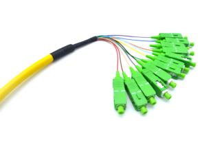 China CATV / ODF SC Optical Fiber Pigtail 12 Core Bundle With Zirconium Dioxide Ferrule on sale