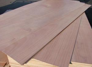 China Eucalyptus Commercial Grade Plywood With Okoume Faced Standard Size on sale