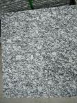 Guangdong Silver Grey Granite Tiles Sea Wave Flower Granite Floor Tiles Granite