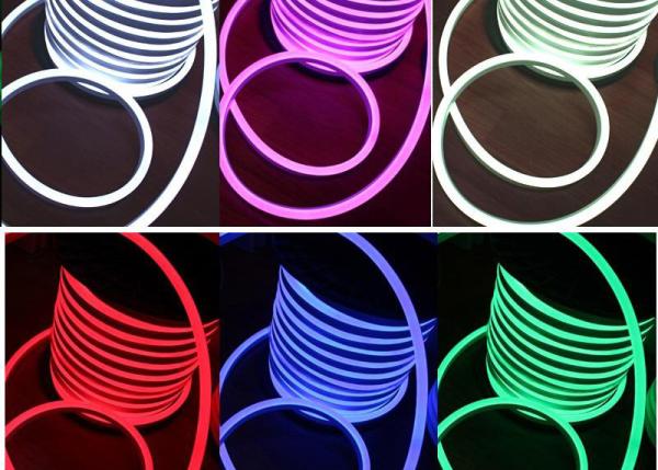 Buy PVC LED RGB LED Neon Flex Multi Color Changing 110V AC Input Voltage at wholesale prices