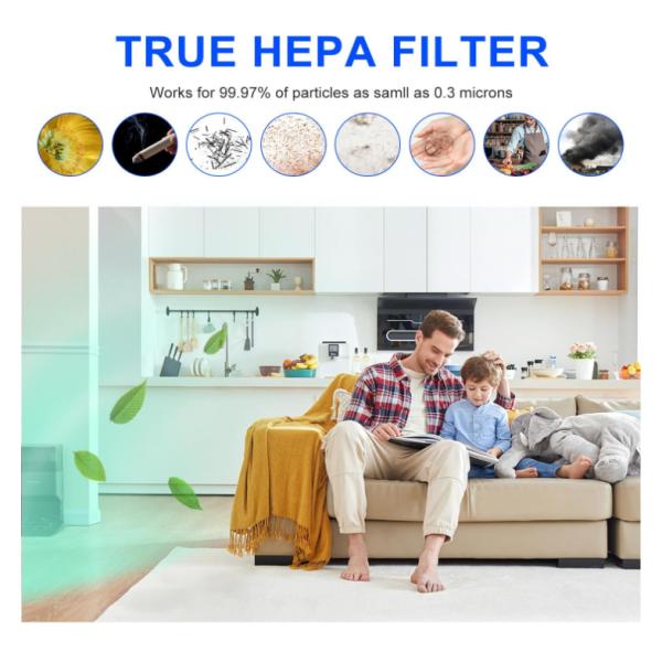 Effective Replacement HEPA Filter And Carbon Pre-Filters Compatible With Honeywell 24500