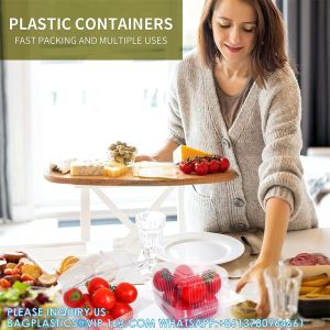 Square Hinged Food Container,Plastic Take Out Containers,Disposable Clamshell