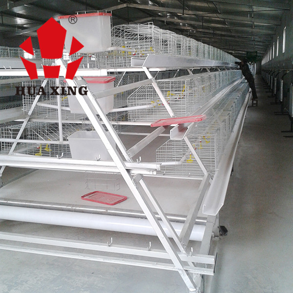 Corrision Resistant Battery Cage For Broilers , Auto Control Hi Tech Chicken Cage