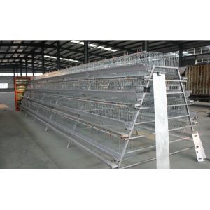 Hot Galvanized 4 Layers 5 Rooms 160 Chicken Layer Cage For Laying Hens