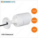 Motion Detective P2P Mini Bullet Network Security Cam