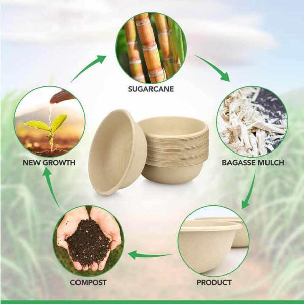 Eco Friendly Bowls 100% Compostable Disposable Biodegradable Sugarcane Bagasse Bowl