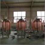 300L lager beer brewery equipment for brewpub and restaurant