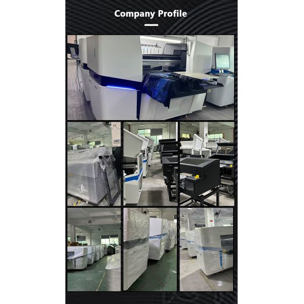 Modular Multi Station DTG Printing Machine With Epson I3200 Printhead