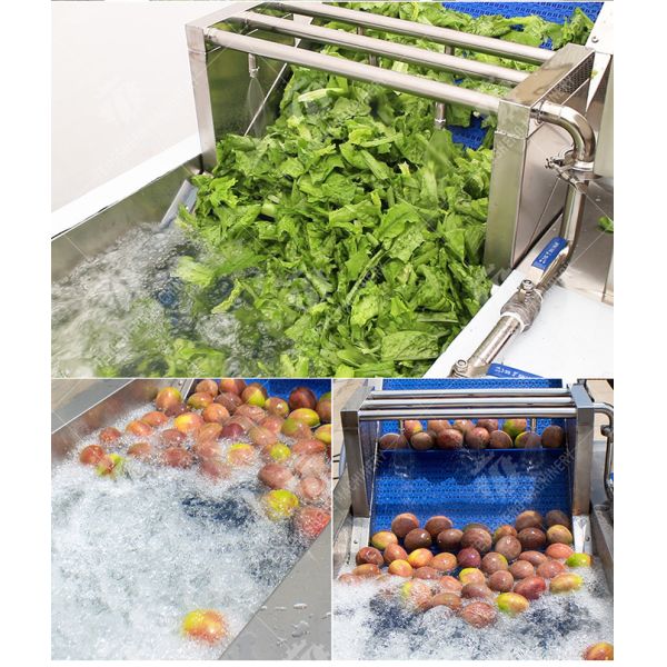 Tengsheng Vegetable Cleaning Machine , Multi Directional Sundries Filter Spinach Washing Machine